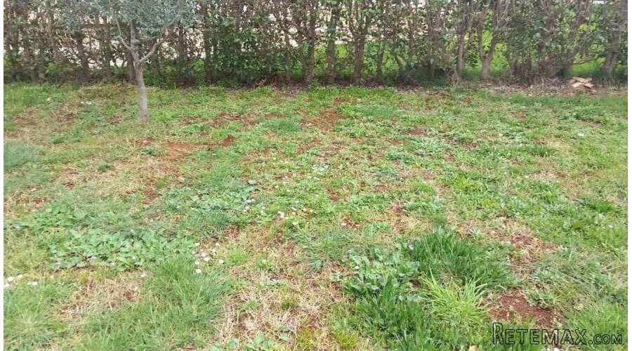 Peroj - Građevinsko zemljište s pogledom na more - 2