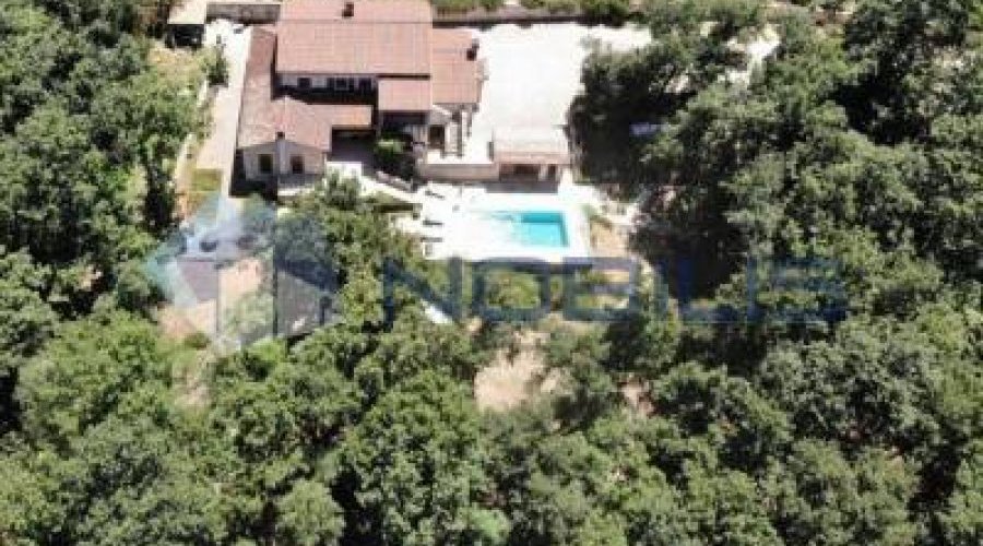 Buje, vila 250 m2 s vrtom 11000 m2