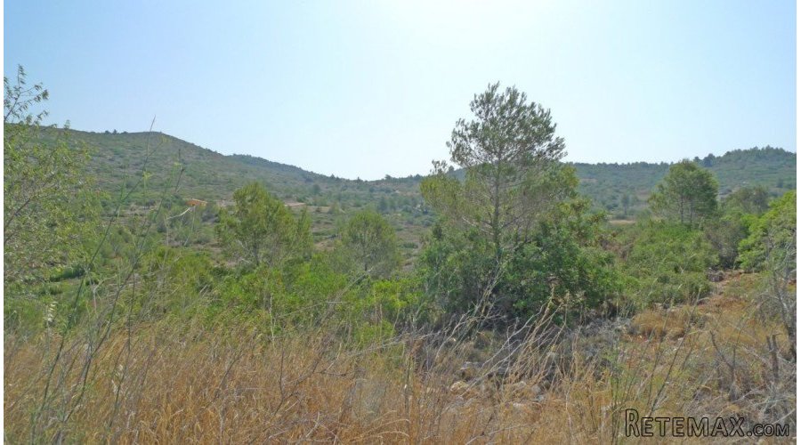 A beautiful flat plot with 360 degree views over the Jalon..