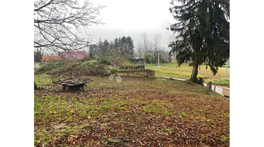Rijetkost na tržištu - 3