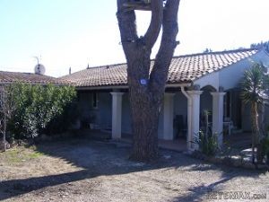Two Built Independent Bungalows On 1185.. - 2