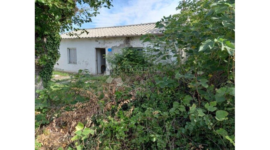 ŠMRIKA -Starina za adaptaciju - 2