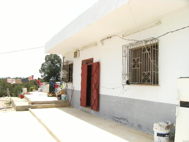 A farm for rent - 2