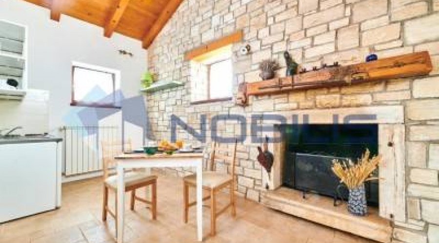 Buje, vila 250 m2 s vrtom 11000 m2 - 7