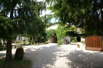 Typically Charente Manor House - 2