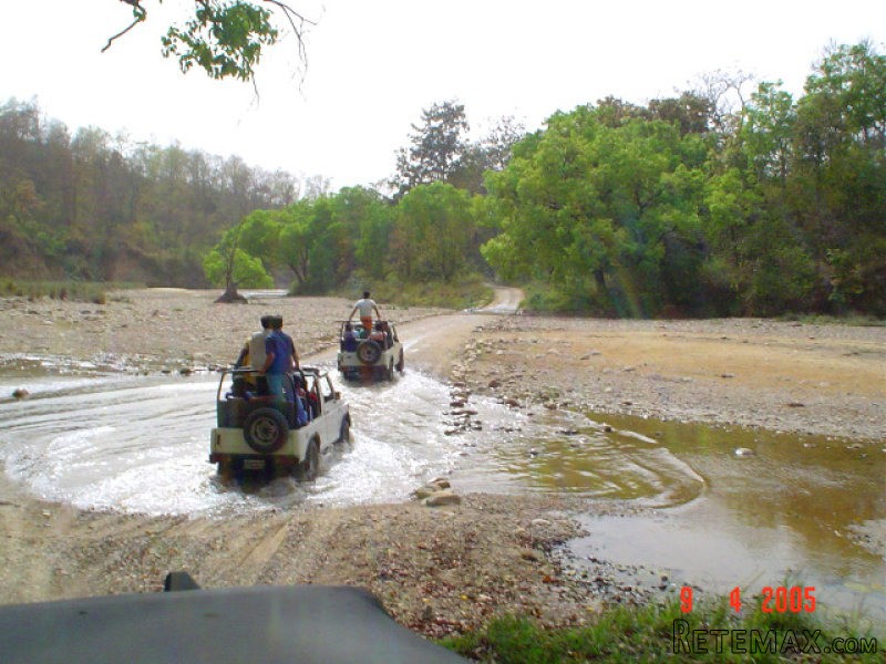 Jim Corbett Weekend Packages - 2