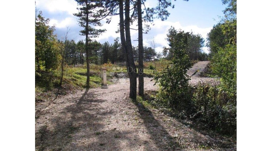 Građevinsko zemljište (2000m2) s bogatom šumom (36789 m2) - 2