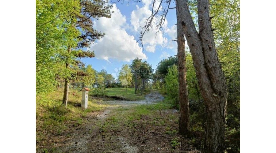 Građevinsko zemljište (2000m2) s bogatom šumom (36789 m2) - 3