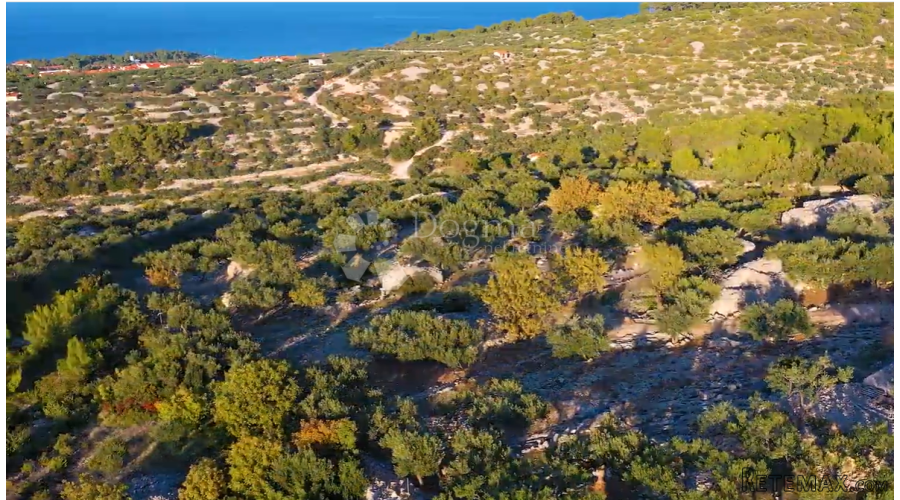 ZEMLJIŠTE OTOK BRAČ- IDEALNO ZA OPG! - 3