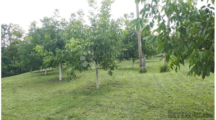 Ograđen voćnjak s nasadom oraha i lješnjaka!