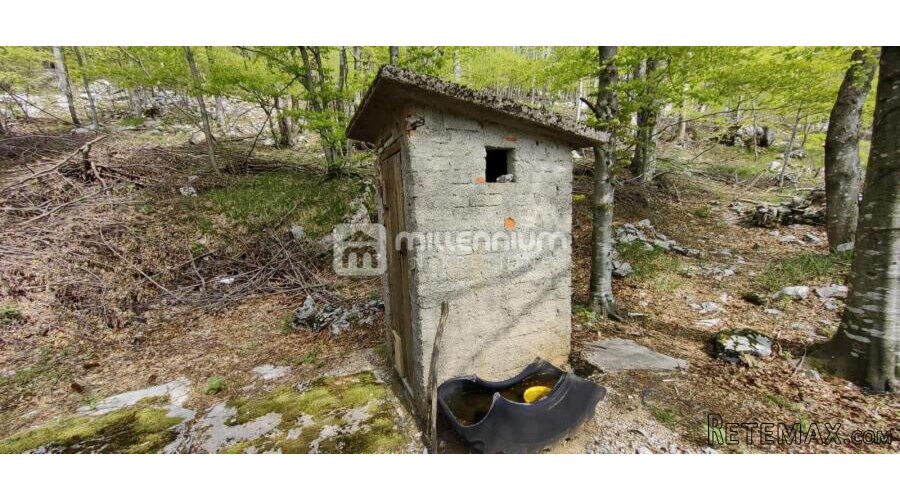 Platak, 40m2, vikendica s 7.611m2 okućnice - 13