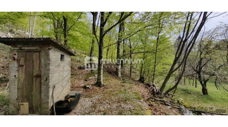 Platak, 40m2, vikendica s 7.611m2 okućnice - 15
