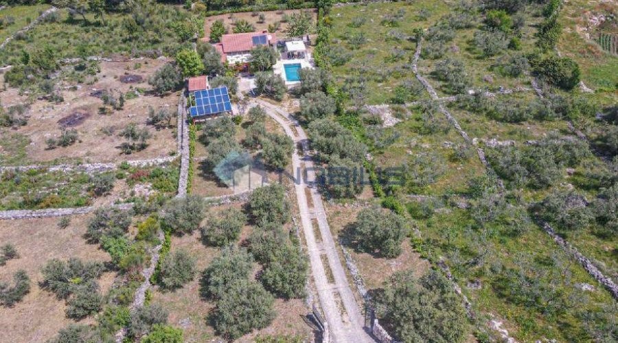 Vodice, kuća u masliniku, 3300 m2 okućnice - 5