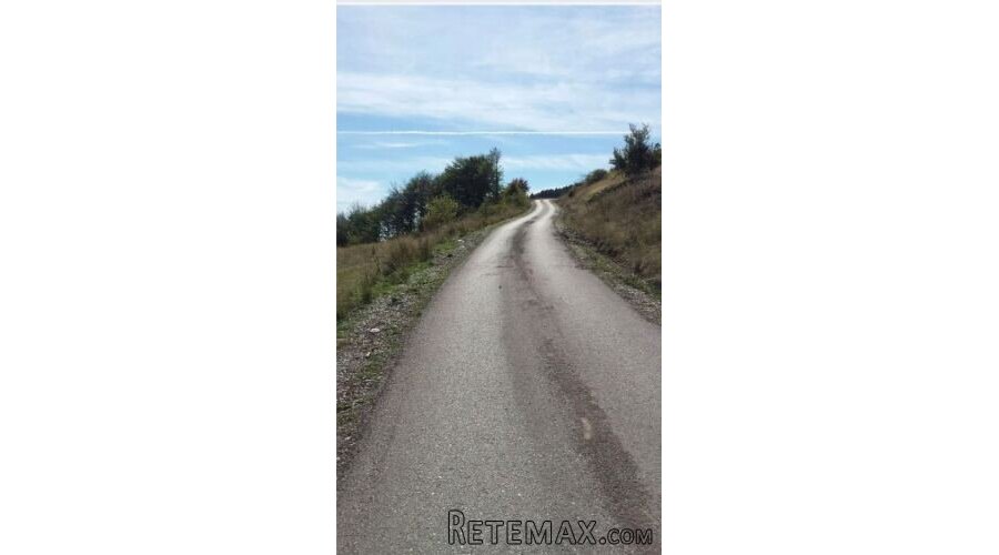Plac ispod Cigote-Zlatibor - 16