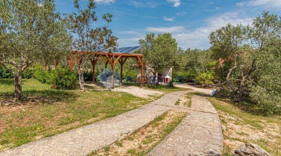 Vodice, kuća u masliniku, 3300 m2 okućnice - 6