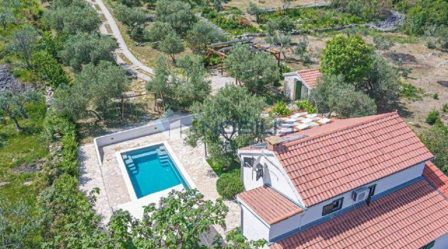 Vodice, kuća u masliniku, 3300 m2 okućnice - 8