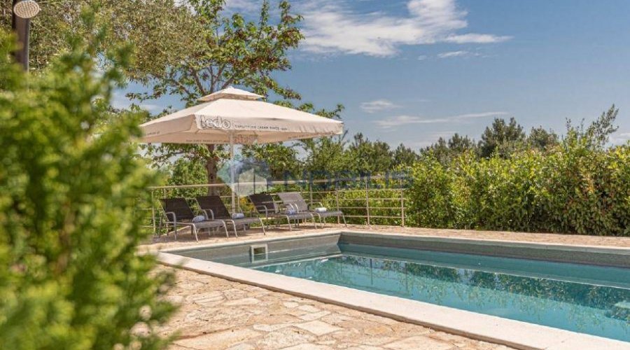 Vodice, kuća u masliniku, 3300 m2 okućnice - 9