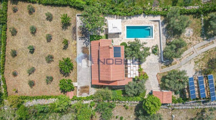Vodice, kuća u masliniku, 3300 m2 okućnice - 10