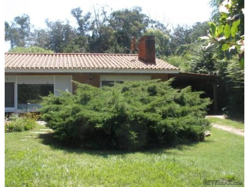4 Bedroom House - For Rent - Golf - 2