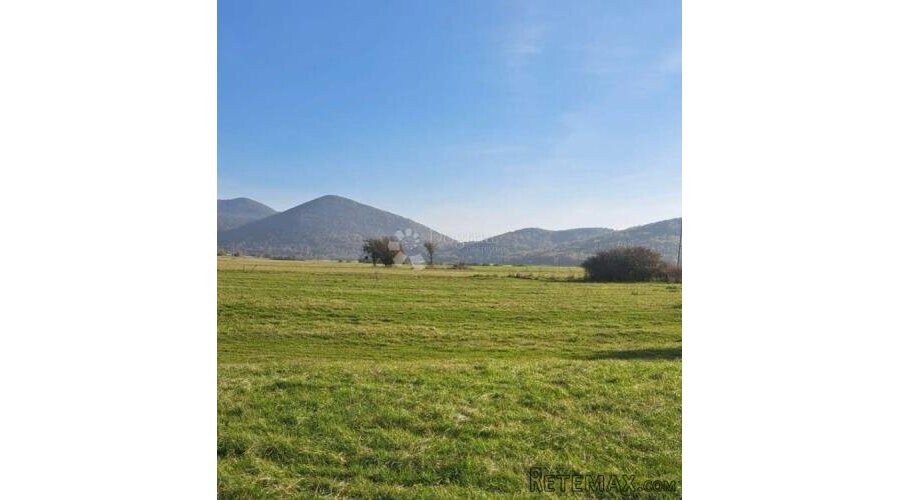 ŽITNIK 30000 M2 KUĆA TOP LOKACIJA - 2