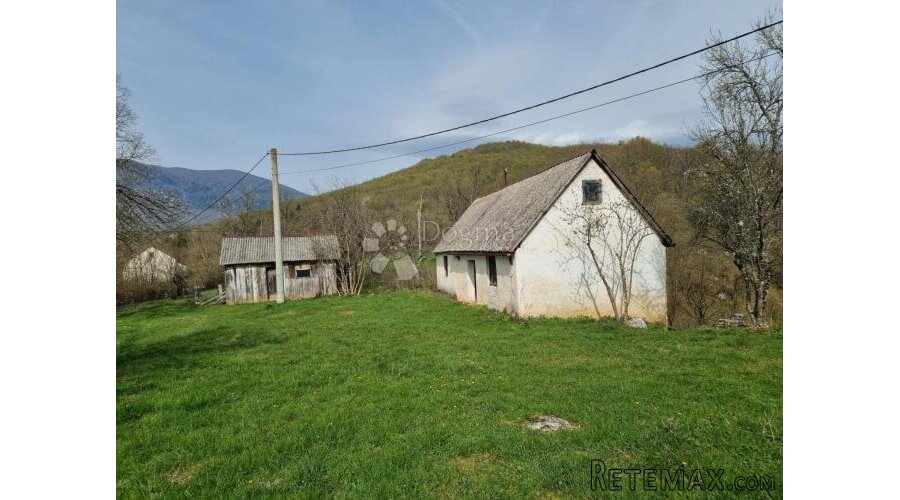 Priiroda na najjače - 2