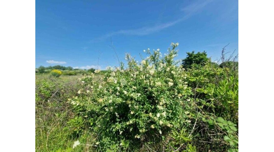 MURVICA - Poljoprivredno zemljište 2182 m2