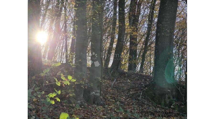 Šuma i pašnjak 7.182m² u Selnu kod Krapinskih Toplica