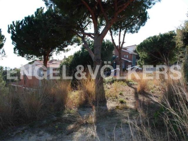 Flat land in Sant Berger