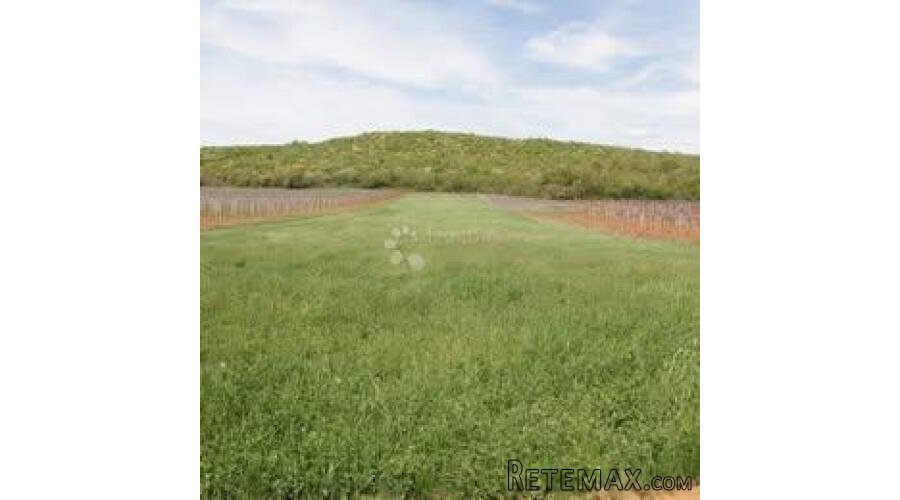 Flengi, Vrsar - poljoprivredno zemljište 8440m2