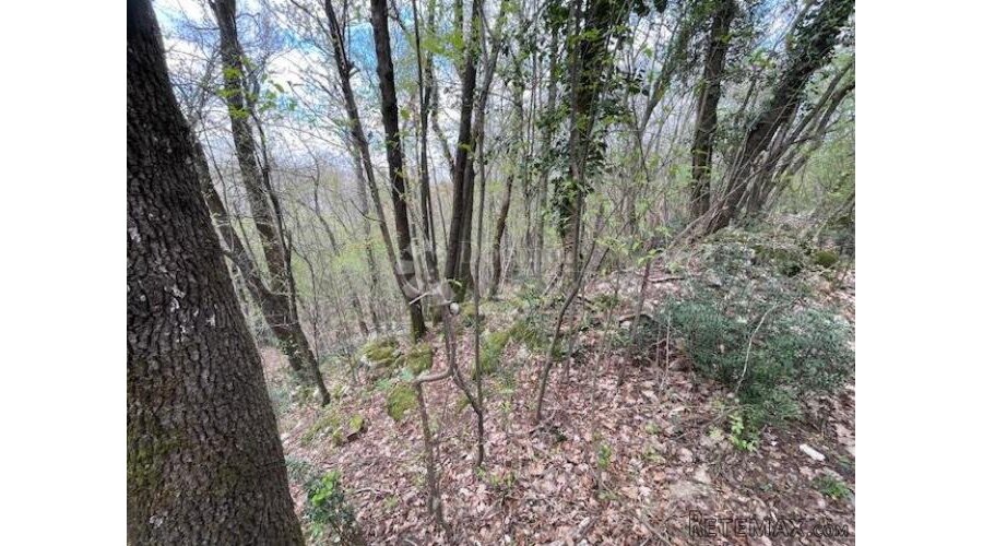 Matulji -10471m2,teren za više obiteljskih kuća - 2