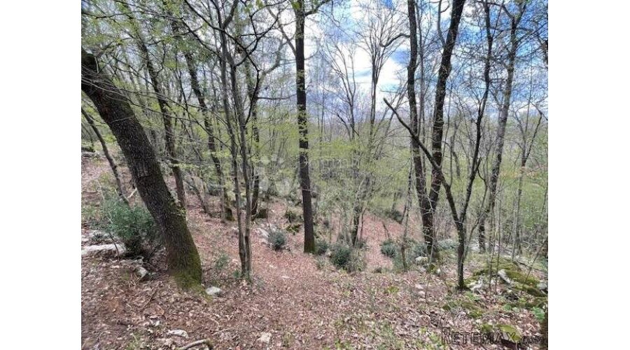 Matulji -10471m2,teren za više obiteljskih kuća - 3