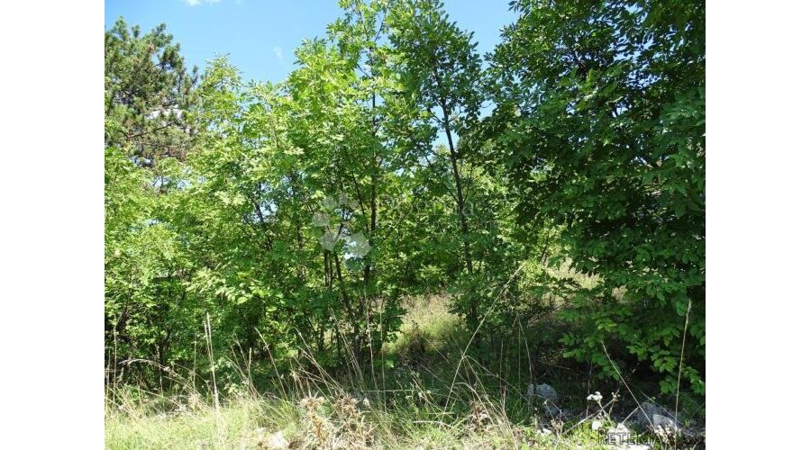 Cernik - teren za obiteljsku kuću - 2