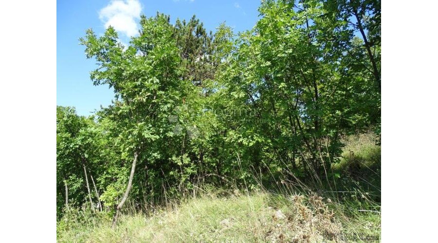 Cernik - teren za obiteljsku kuću - 3
