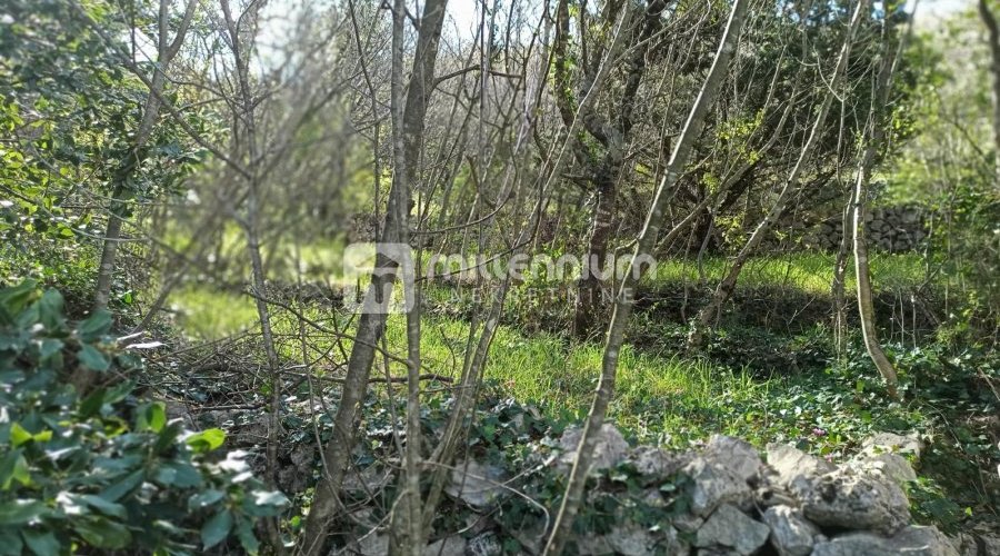 Jablanac, građevinsko zemljište 100m od mora - 4