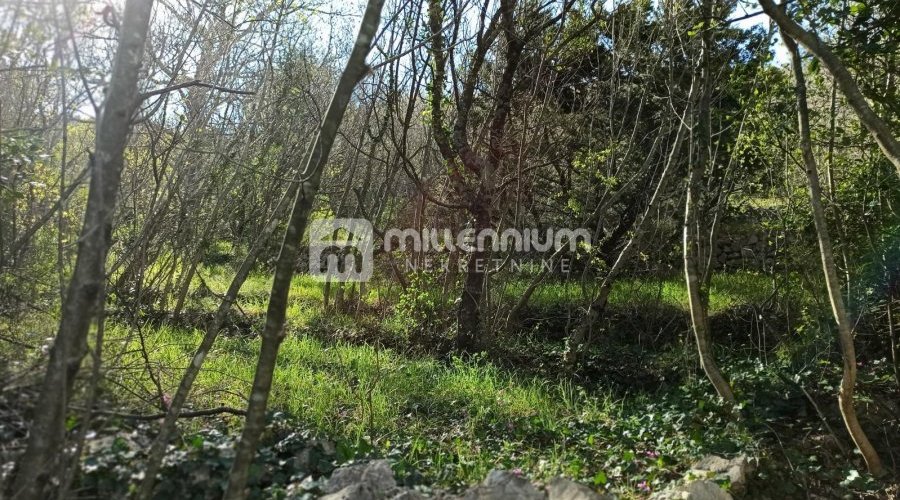 Jablanac, građevinsko zemljište 100m od mora - 6