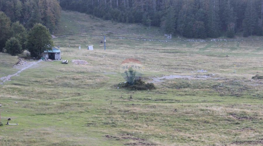 Platak, ugostiteljski objekt-brvnara - 3