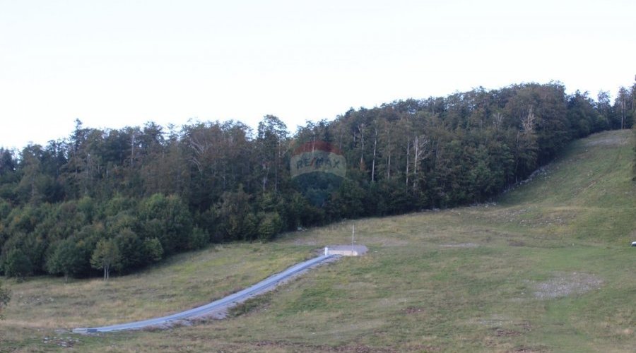 Platak, ugostiteljski objekt-brvnara - 4