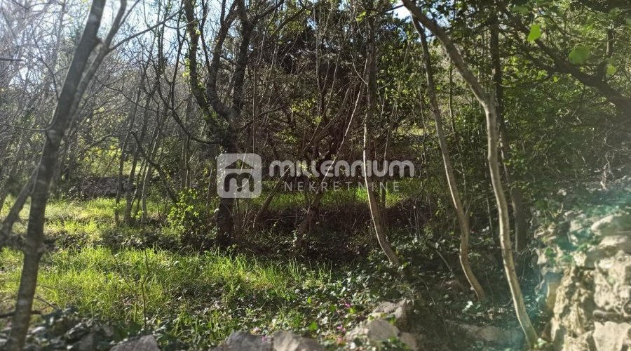 Jablanac, 19.318m2 zemljišta od čega 2.264m2 građevinskog - 5