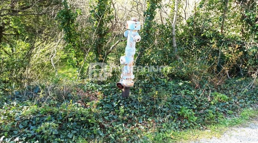 Jablanac, 19.318m2 zemljišta od čega 2.264m2 građevinskog - 7