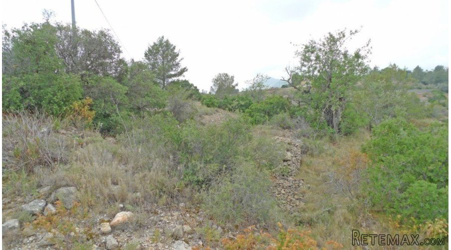 A beautiful flat plot with 360 degree views over the Jalon.. - 3