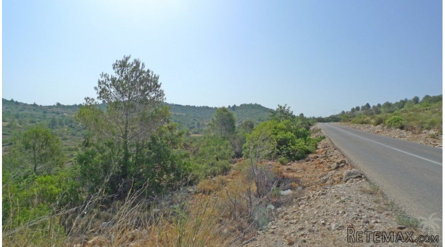 A beautiful flat plot with 360 degree views over the Jalon.. - 5