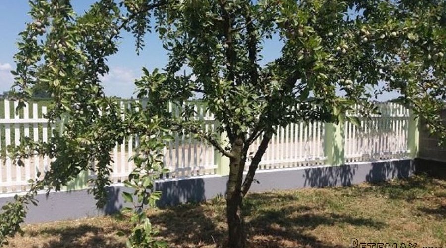 Prodajem kucu u Bijeljini - 4
