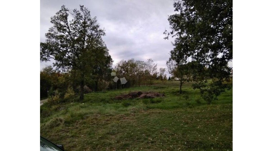 TINJAN - BERAM - GRAĐEVISNKI TEREN - 2