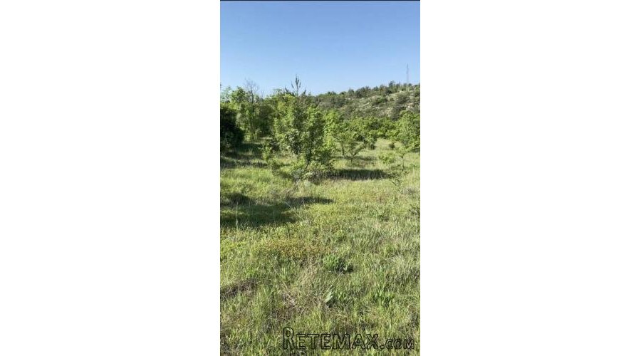 VELIKO ZEMLJIŠTE KOD NP KRKA – 6 HA - 2