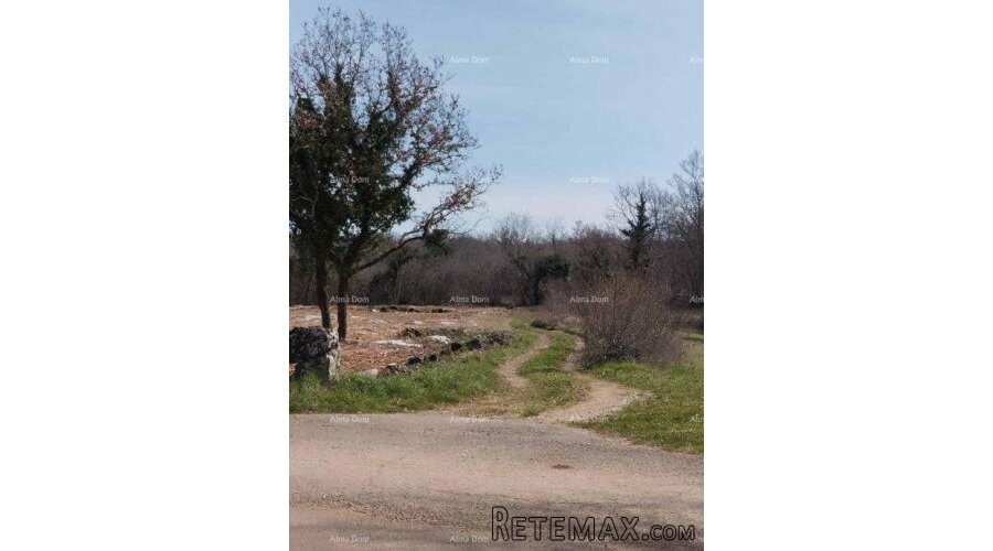 Zemljište 2765 m² na mirnoj lokaciji – Poreč - 4
