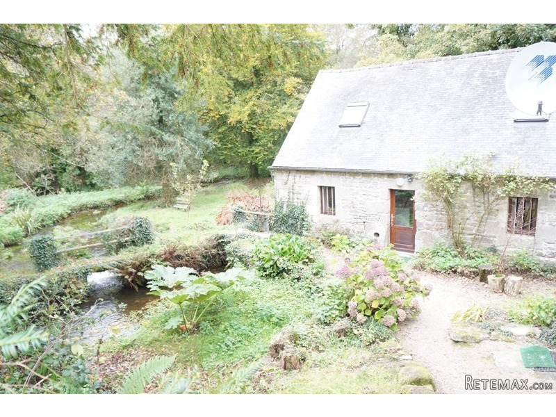 Former Water Mill Property