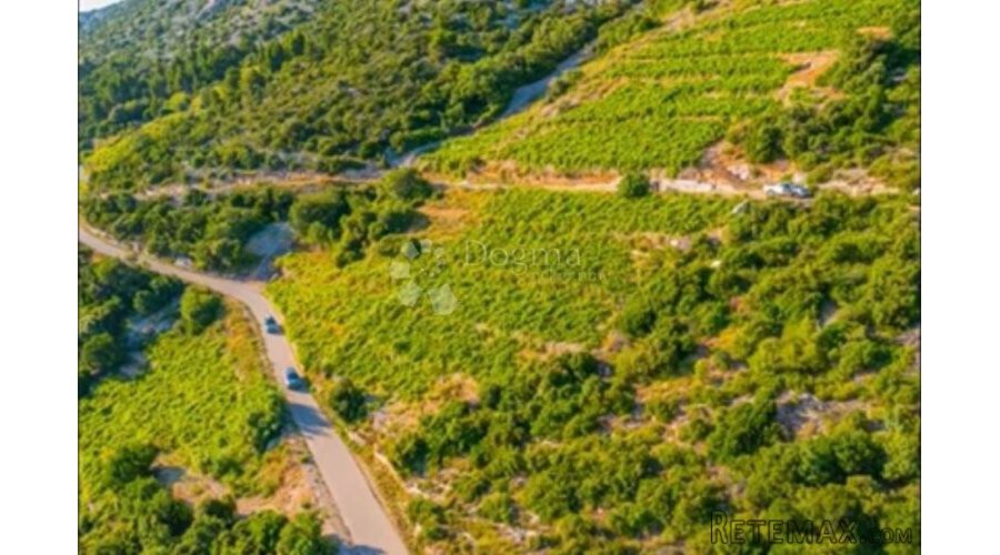 Investicijska prilika - OPG u rajskim vinogradima