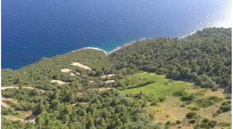 Prilika života - OPG u srcu Dingača