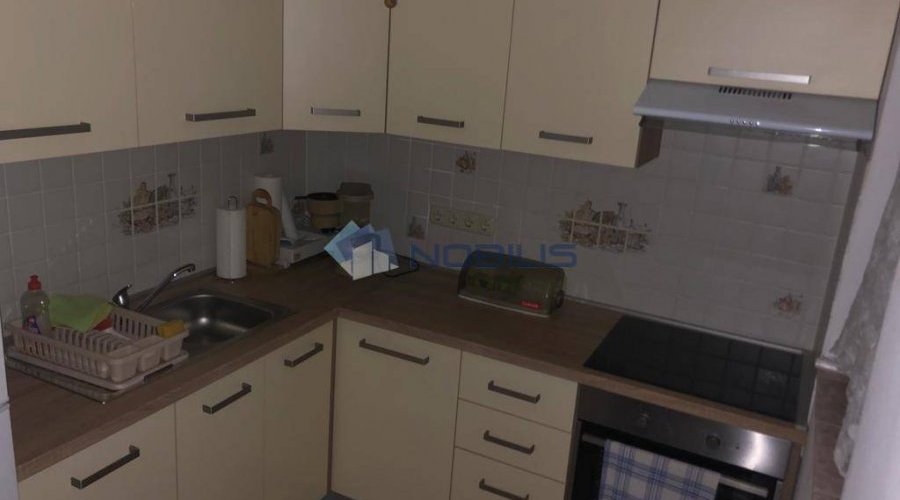 Zagreb, Velika Gorica, 250m2+ 350m2 okućnice, garaža - 8