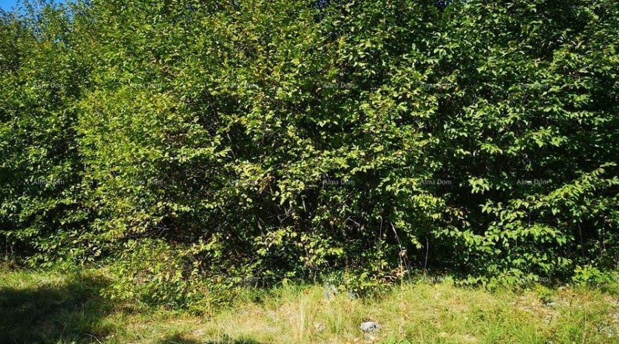 Građevinsko zemljište Rabac - 2